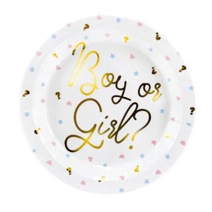 Pratos 23 cm Boy or Girl